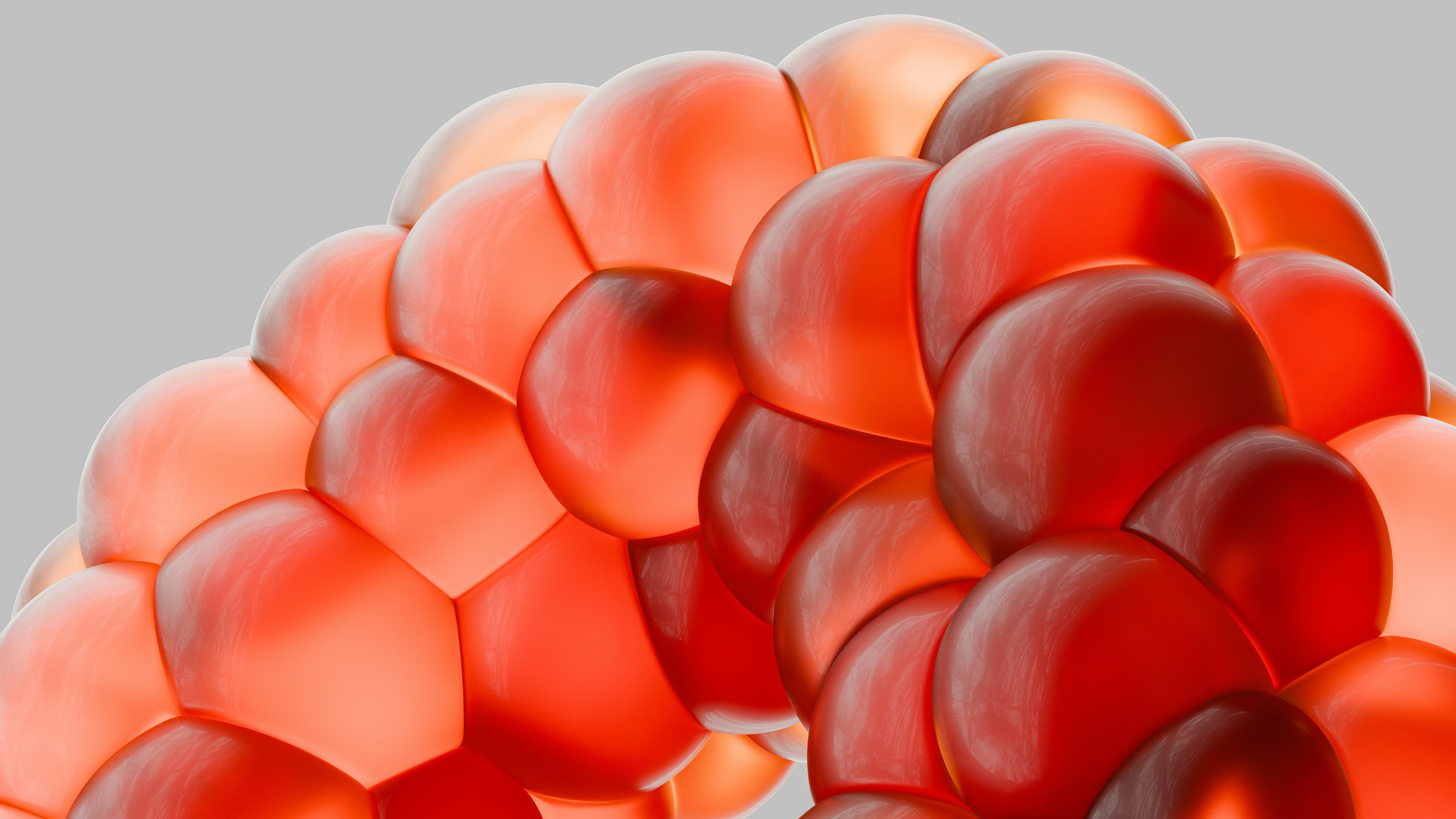 cholesterol